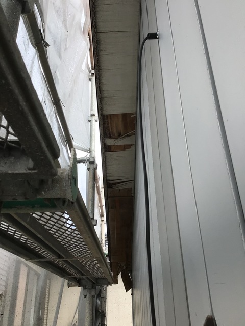 IMG-1248.jpg