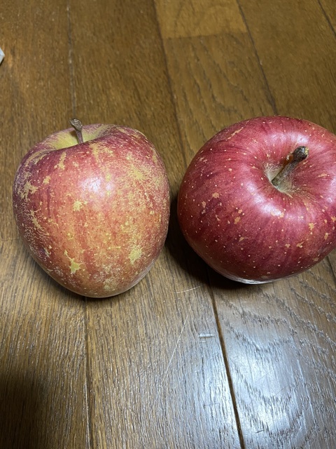 IMG_1848.jpeg